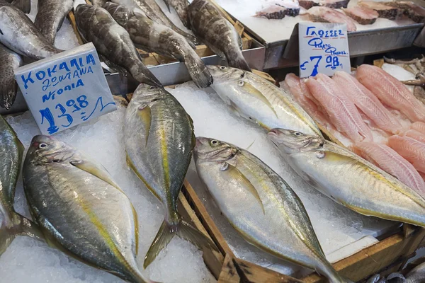 地中海のあじ — ストック写真