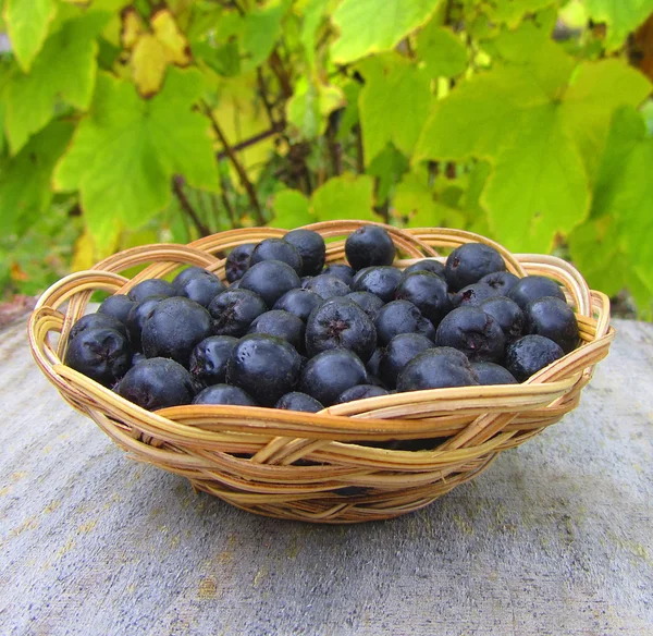 Rijpe chokeberry in mand op groene achtergrond, close-up — Stockfoto