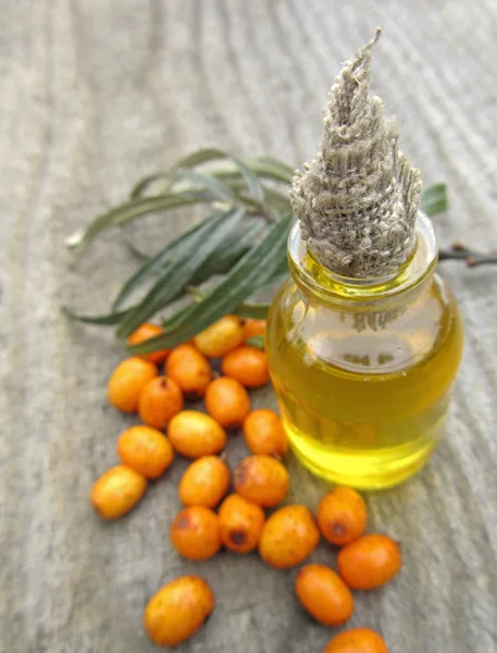 Olio di olivello spinoso marino in vaso, primo piano — Foto Stock