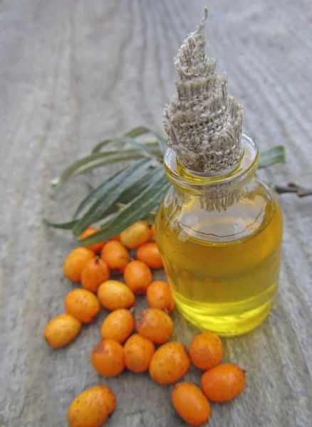 Olio di olivello spinoso marino in vaso, primo piano — Foto Stock