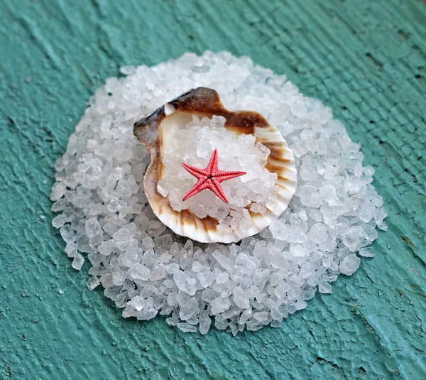 Zee? zout in shell op houten achtergrond — Stockfoto