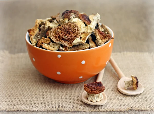 Dried mushrooms in orange bowl on wooden background — Stock Photo, Image