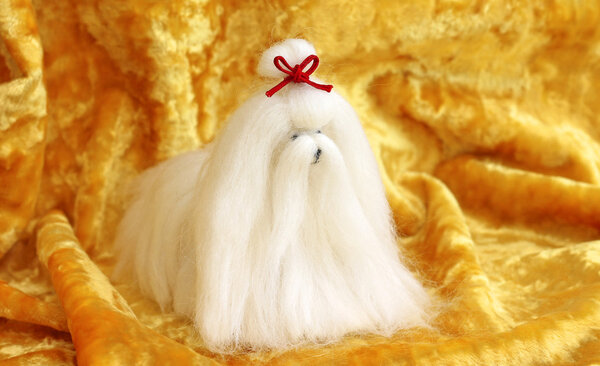 милая мальтийская игрушка для собак на желтом фоне, крупным планом
