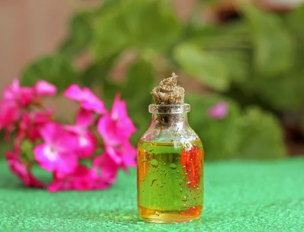 Aceite de geranio en botella de vidrio — Foto de Stock