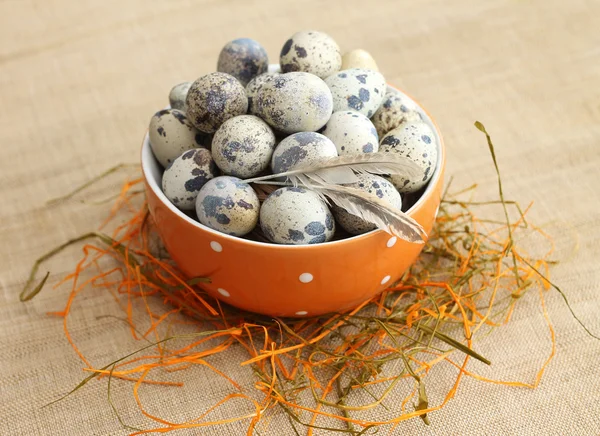 Quail eggs in orange polka dot bowl — Stock Photo, Image