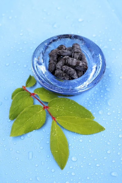 Schüssel mit Geißblatt-Beeren auf blauem Hintergrund — Stockfoto