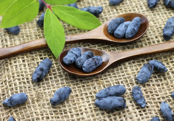 Gesunde Beeren von Geißblatt in Holzlöffeln — Stockfoto