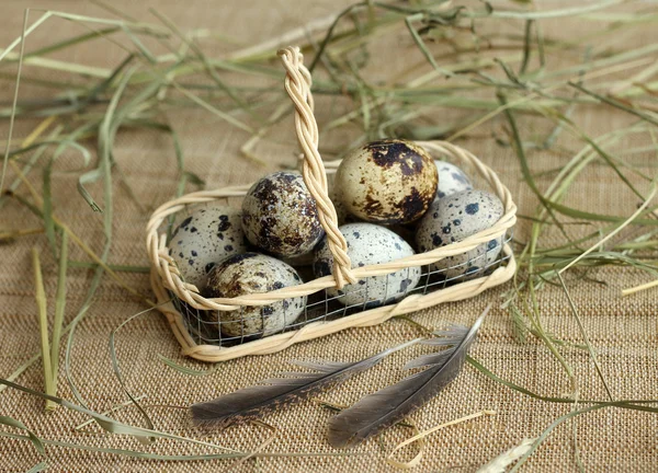 Image of quail eggs in basket — Stock Photo, Image