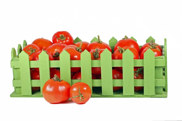 Obraz dojrzałe pomidory w zielonym polu drewniane — Zdjęcie stockowe