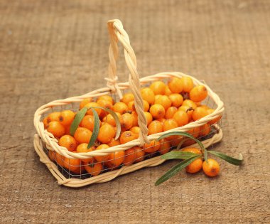 kavanoz kozmetik krem ve beyaz izole çiçek ile açın.