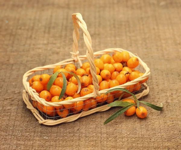 Useful sea-buckthorn berries in basket — Stock Photo, Image