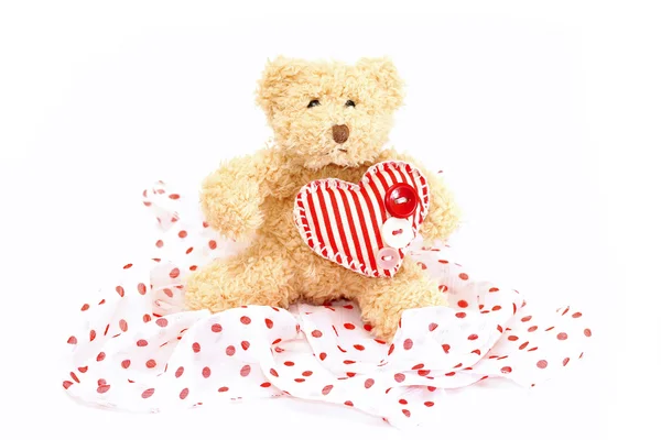 Cute plush bear with heart on valentine's day — Stock Photo, Image