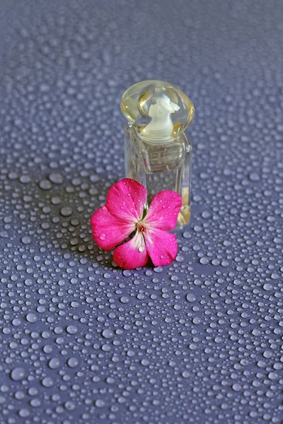 Bild einer Miniflasche mit blumigem, femininem Parfüm — Stockfoto