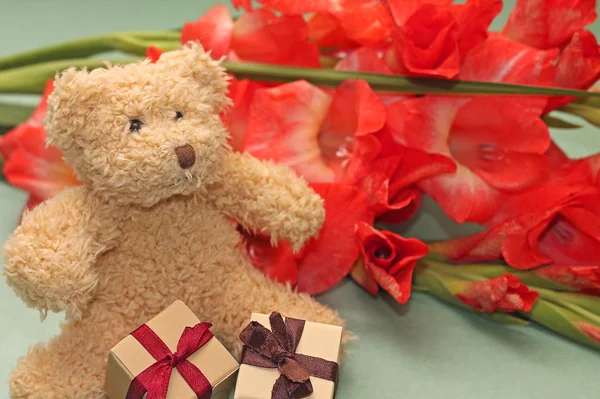 Teddy bear with little gift boxes and flowers — Stock Photo, Image
