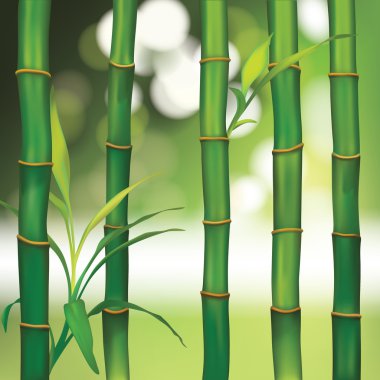 Spa arka plan bambu