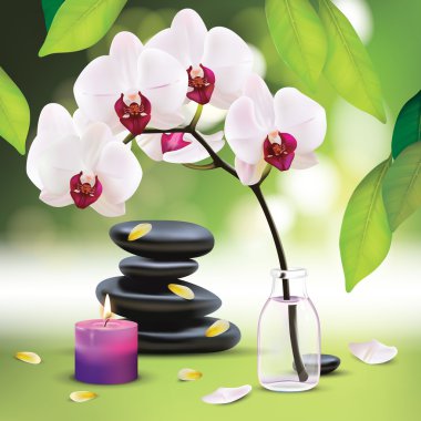 zen taşlar ile Spa kompozisyon