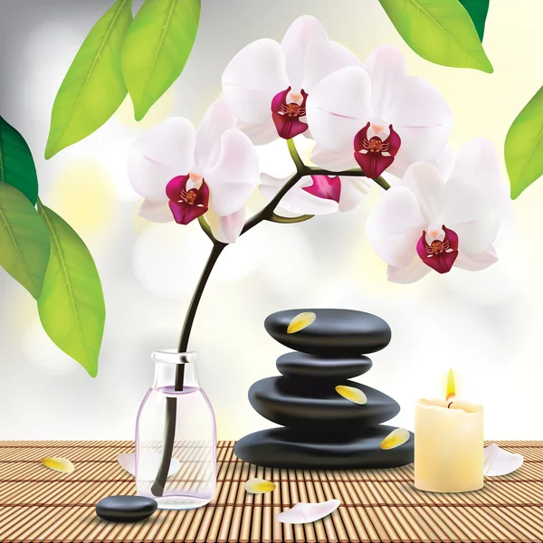 Composición Spa con piedras Zen — Vector de stock