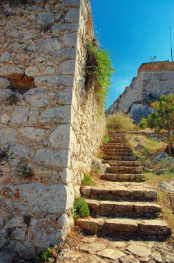 ベクターの手描画アルファベット。calligraphical ベクトル フォント