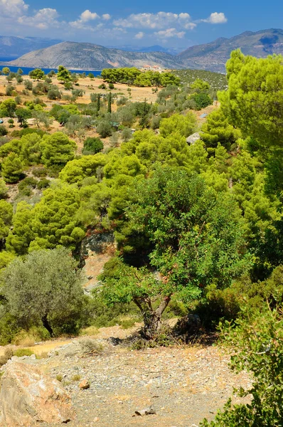 Isola di Poros — Foto Stock