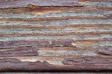 kurulları ile soyulması boya