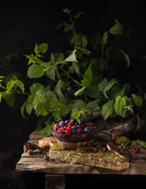 Çiğ taze böğürtlen: ahududu, yaban mersini, ahşap tabakta üzümlü üzümlü üzümlü üzümlü üzümlü üzümlü, yağmur damlacıklarıyla birlikte ormanda yeşil moz bulunan ahşap bir tabakta. Yakın çekim..