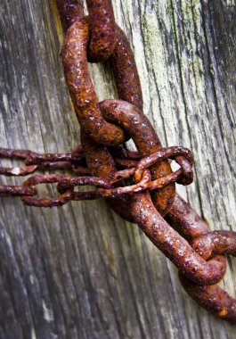 paslı zinciri
