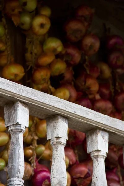 Fence and onions — Stock Photo, Image