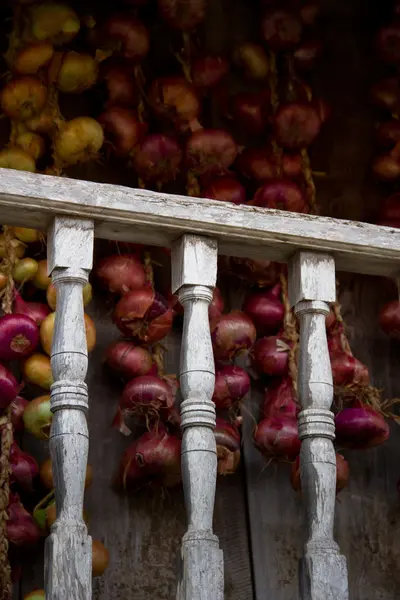 Fence and onions — Stock Photo, Image