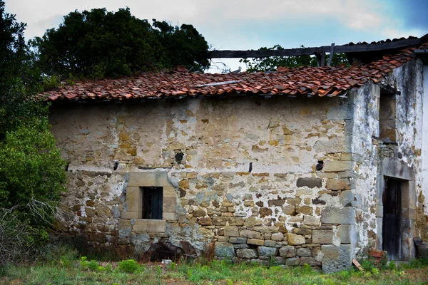 Abandoned house — Stock Photo, Image