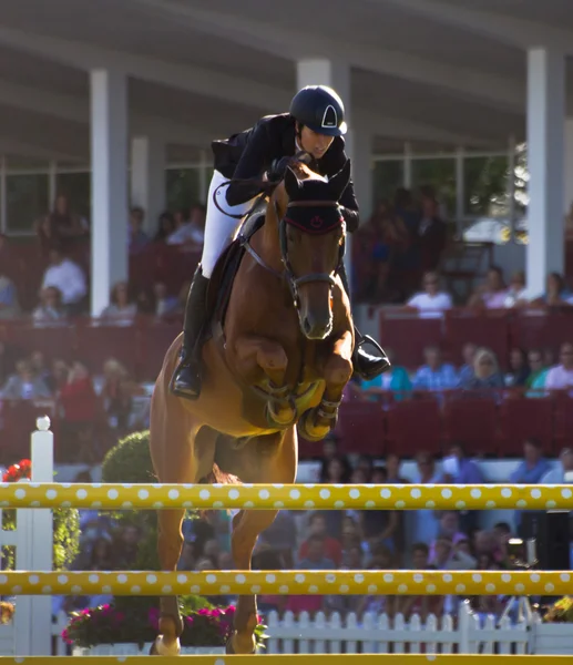 Woman and horse jumping — Stock Photo, Image