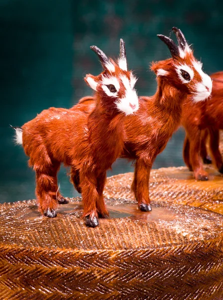 Queijo de cabra — Fotografia de Stock