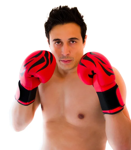 Boxer erkek — Stok fotoğraf