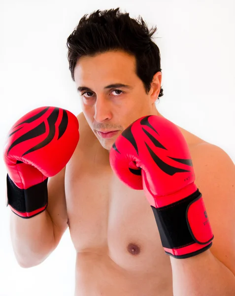 Boxer man — Stock Photo, Image