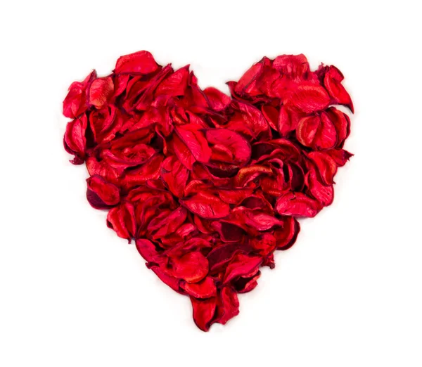 Heart of petals — Stock Photo, Image