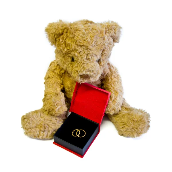 Teddybeer met gouden ringen — Stockfoto