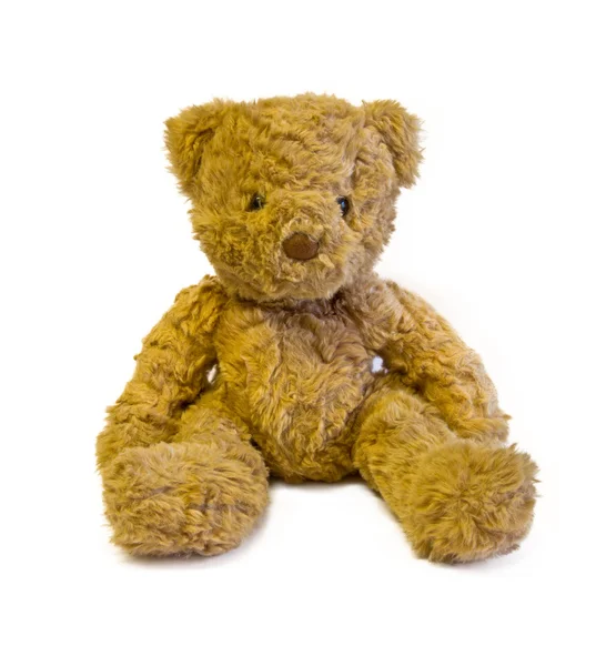 Teddybär — Stockfoto