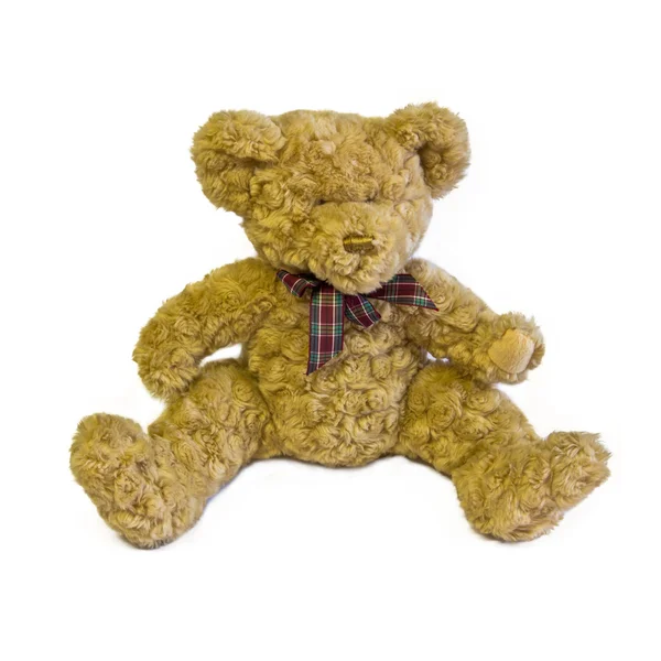 Teddy bear — Stockfoto