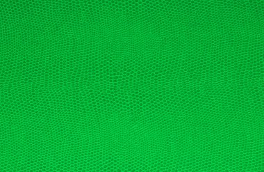 yeşil deri dokusu