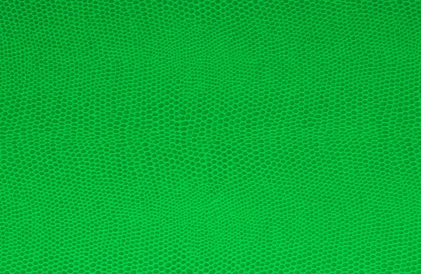 yeşil deri dokusu
