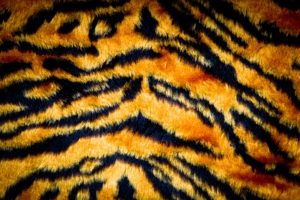 Texture della pelle di tigre — Foto Stock