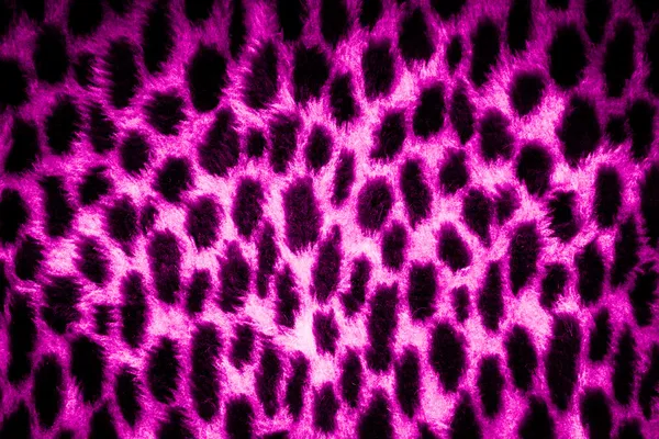 Leopard skin texture — Stock Photo, Image