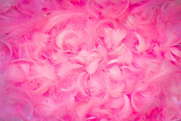 Feathers background — Stock Photo, Image