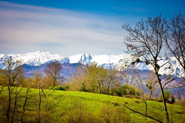 Landskap — Stockfoto