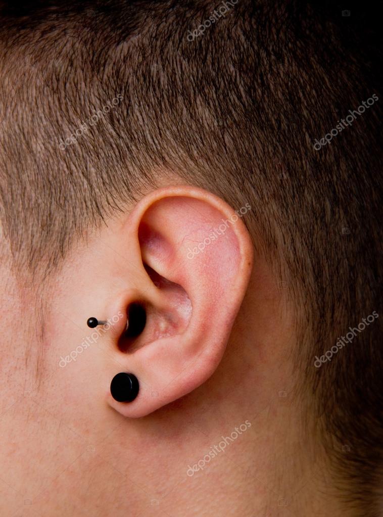 Piercings Dans Les Oreilles Images Libres De Droit Photos De Piercings Dans Les Oreilles Depositphotos