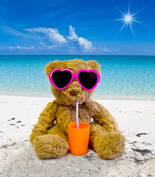 Teddy beer in het strand — Stockfoto