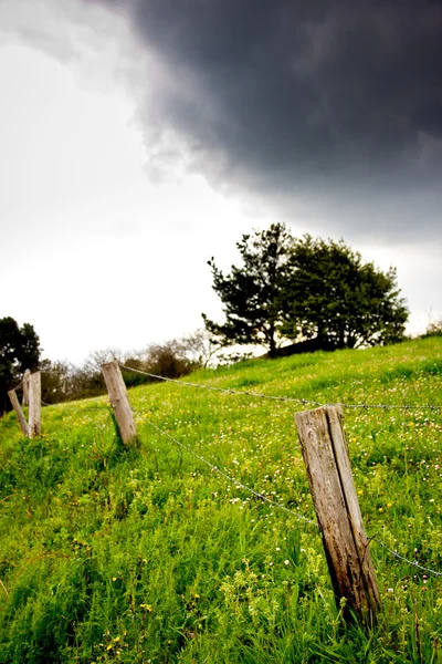Fence, tree and clouds — Stock Photo, Image