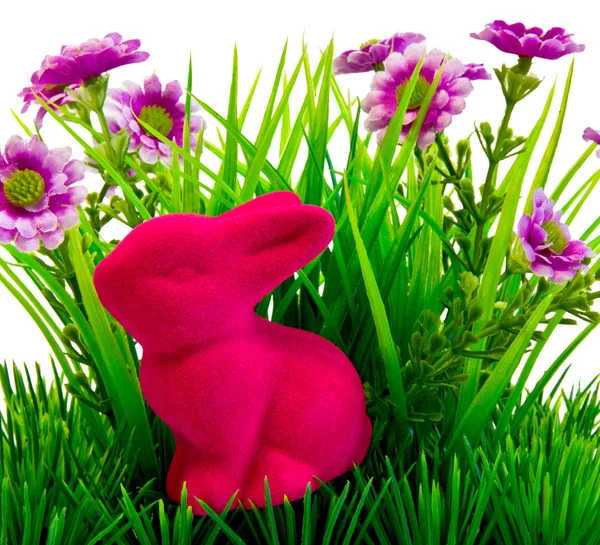 Easter bunny — Stock Photo, Image