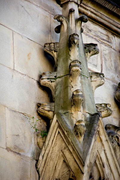 Catedral gótica — Foto de Stock