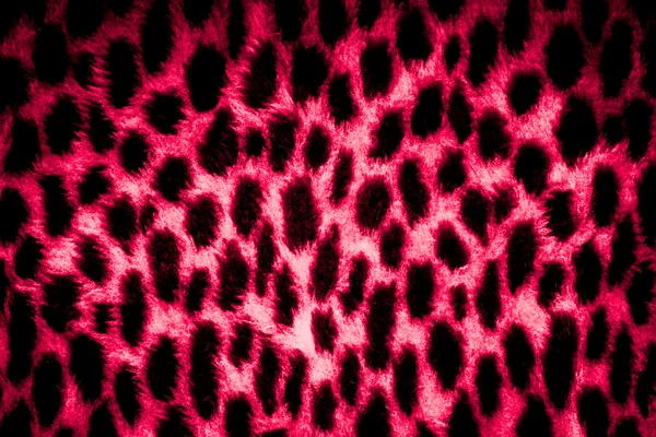 Textur der Leopardenhaut — Stockfoto