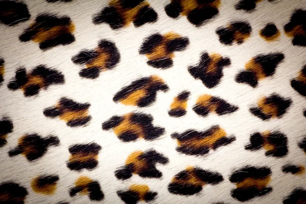 Textura da pele de leopardo — Fotografia de Stock